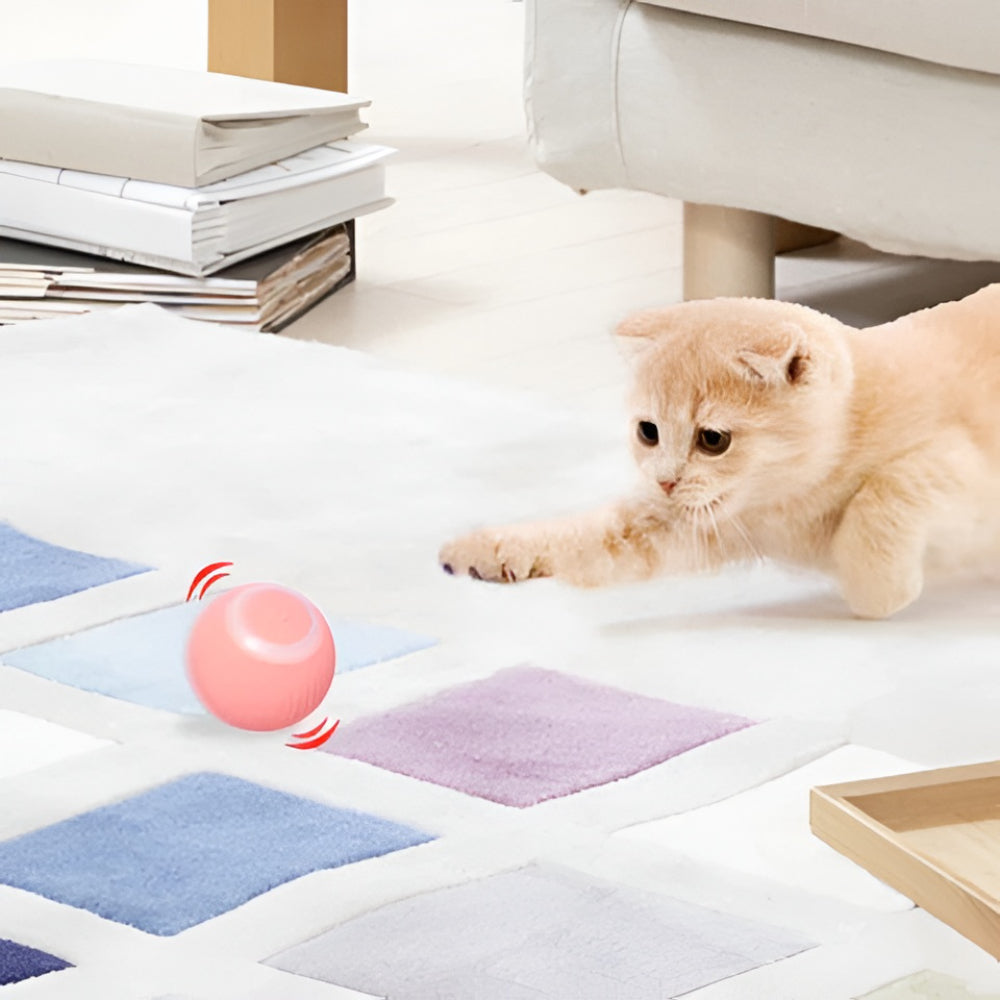 Cat Toy Interactive Play Ball Automatic Moving