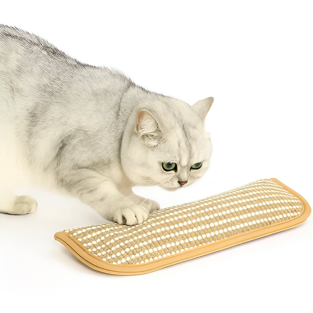 Tappetino graffiato per gatti Cuscino gioco per gatti Giocattolo da graffiare