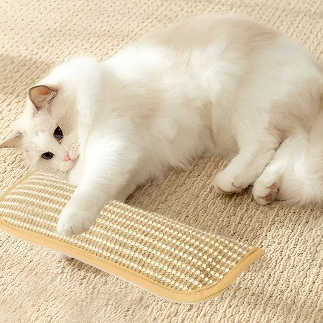 Tappetino graffiato per gatti Cuscino gioco per gatti Giocattolo da graffiare