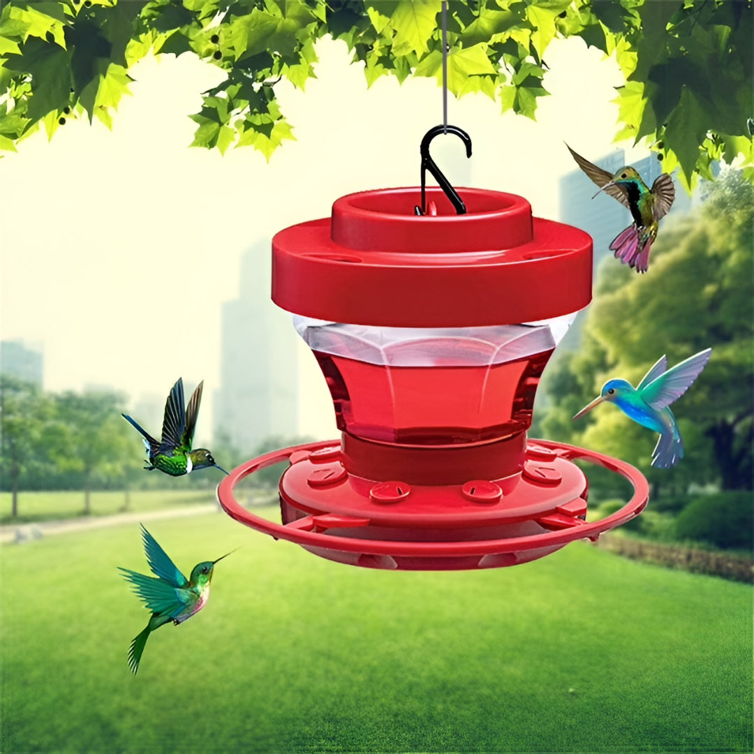 Mangiatoia Uccelli Colibrì Nettare Sospesa Giardino Balcone