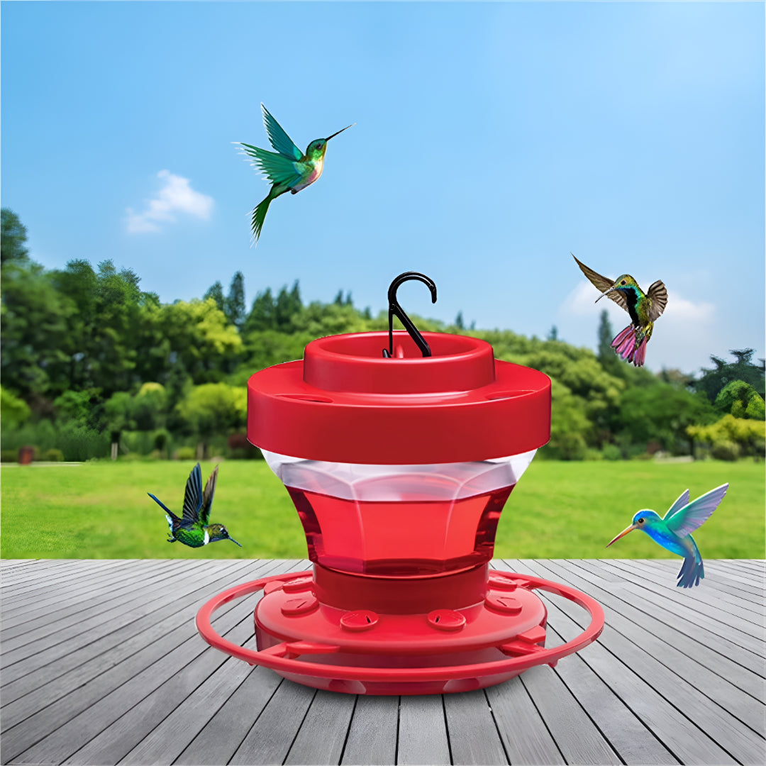Mangiatoia Uccelli Colibrì Nettare Sospesa Giardino Balcone