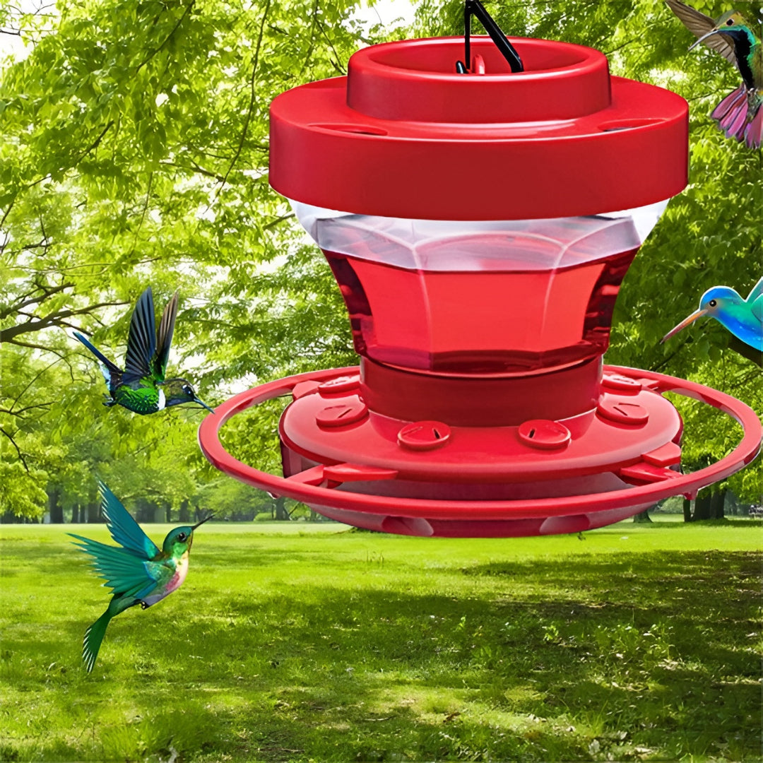 Mangiatoia Uccelli Colibrì Nettare Sospesa Giardino Balcone