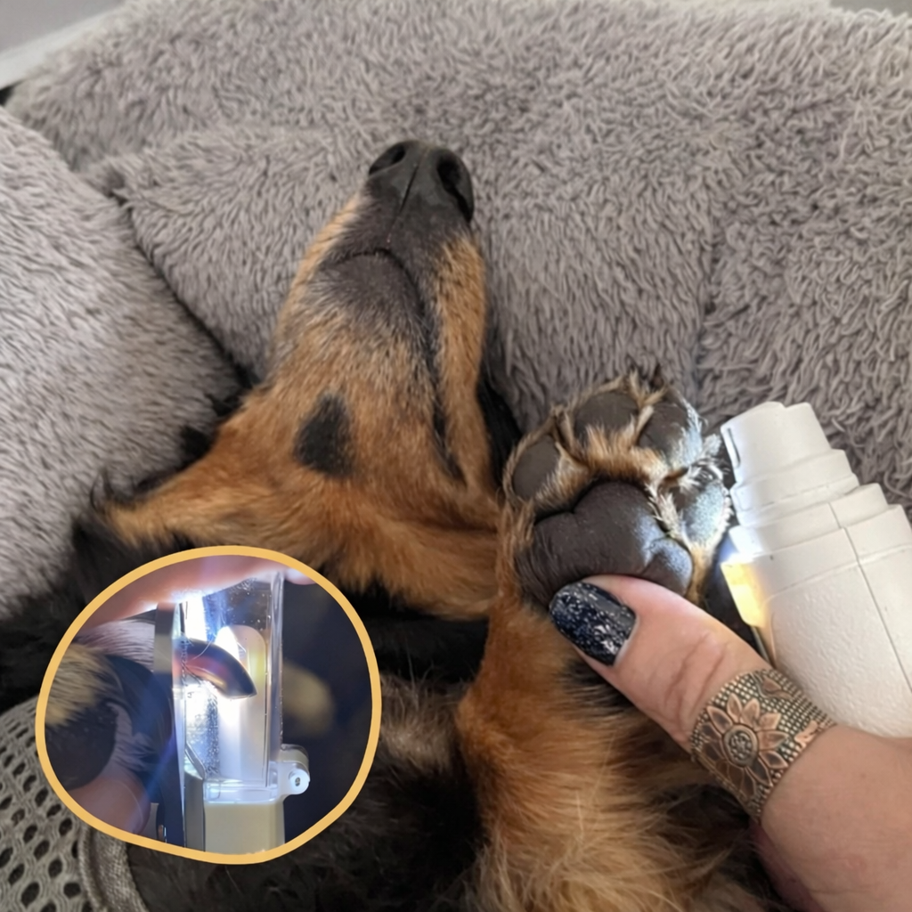 Electric Nail Clipper and File for Dog and Cat Pet Care