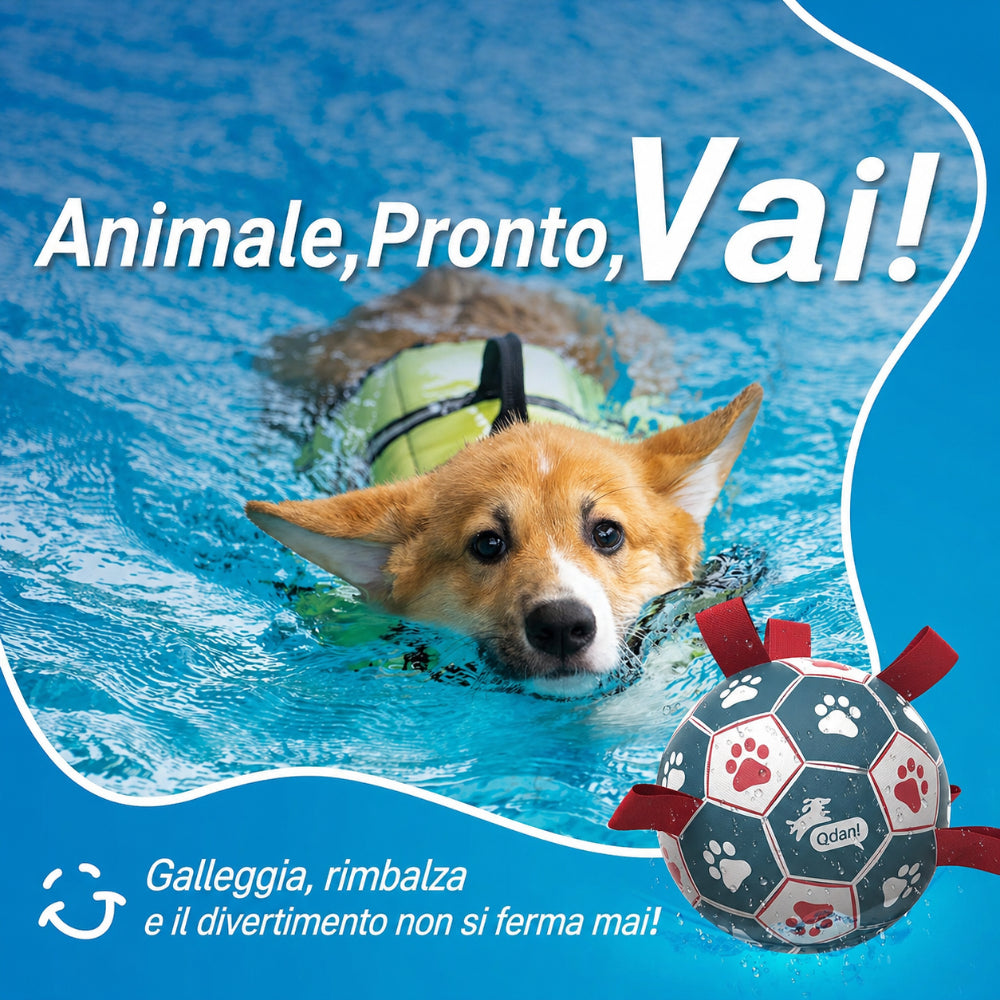 Interactive World Cup Dog Ball Training and Fetch Activity