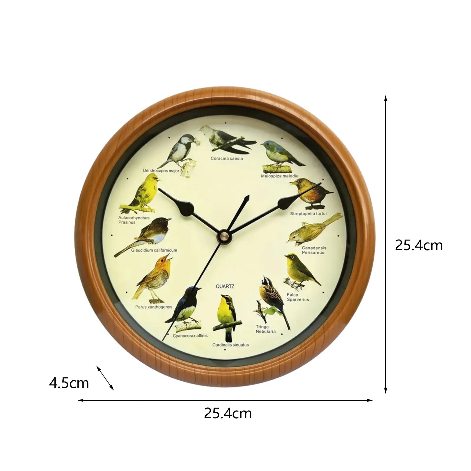 VogelZang - 10 Inch Singing Bird Wall Clock for Stylish Home Decoration