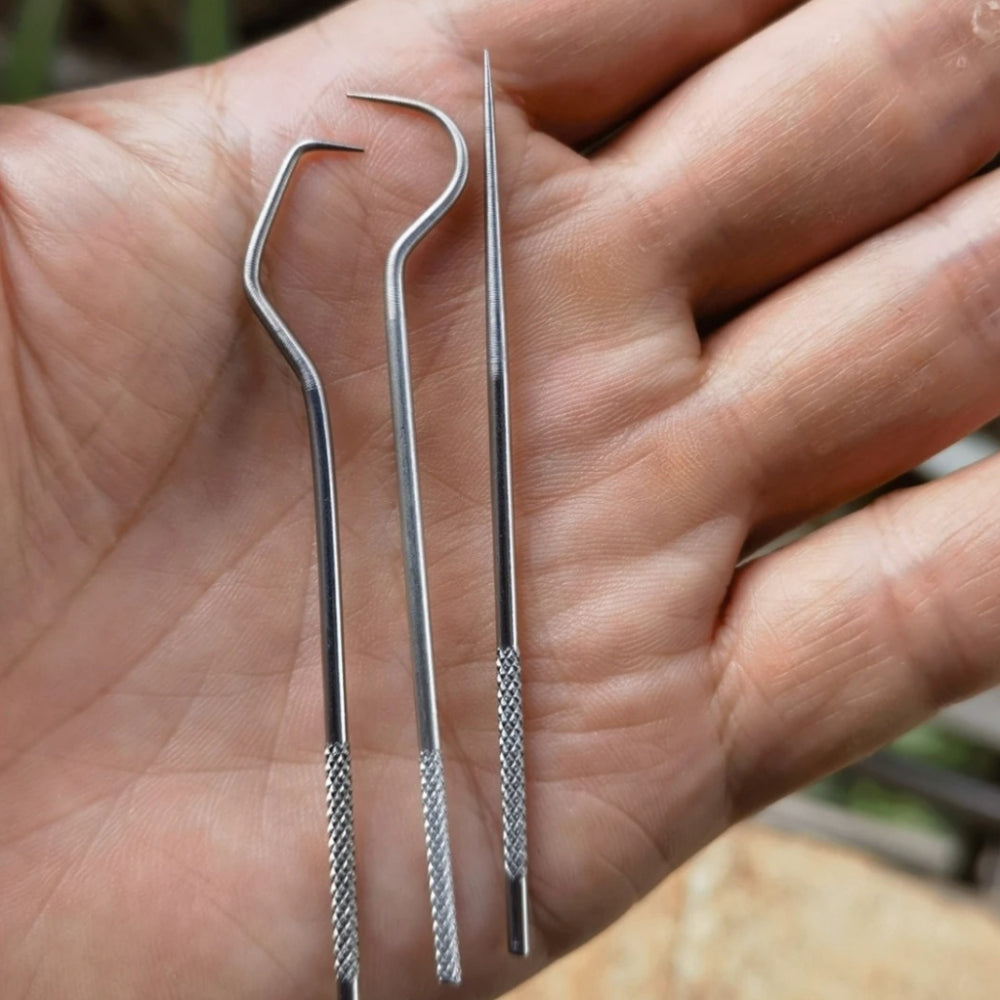 Stuzzicadenti Riutilizzabile Pulizia Denti Igiene Orale Portatile