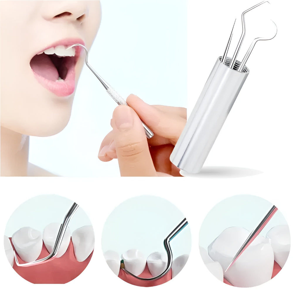 Stuzzicadenti Riutilizzabile Pulizia Denti Igiene Orale Portatile