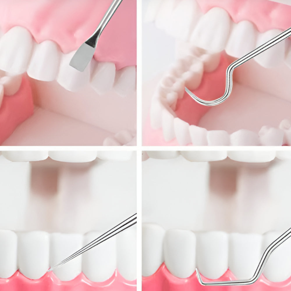Stuzzicadenti Riutilizzabile Pulizia Denti Igiene Orale Portatile