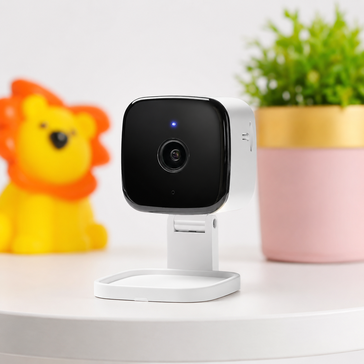 Telecamera Sicurezza Smart Sorveglianza Finestra
