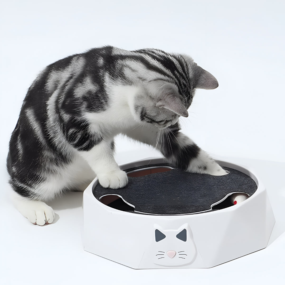 Arranhador Interativo para Gatos Rato Sonoro Jogo de Atividades