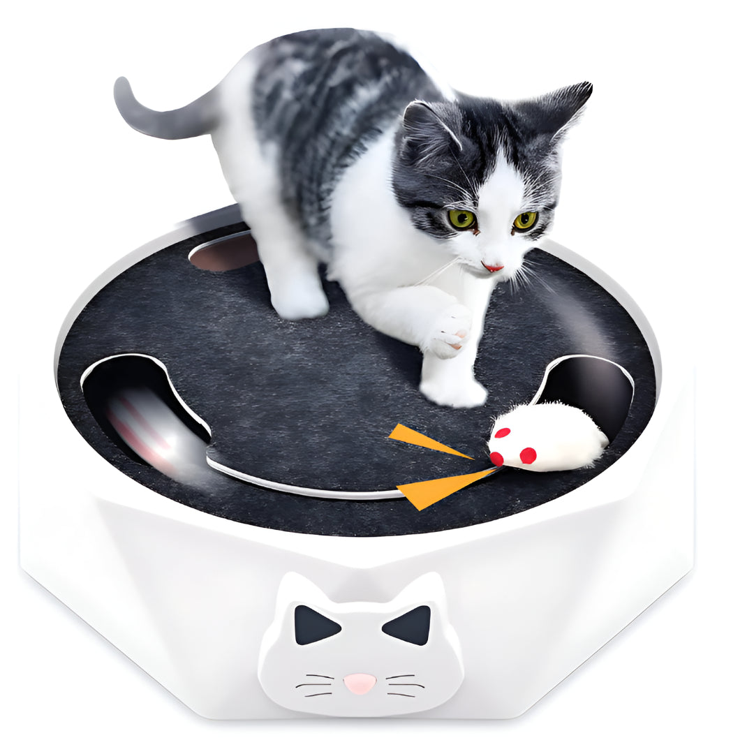 Arranhador Interativo para Gatos Rato Sonoro Jogo de Atividades