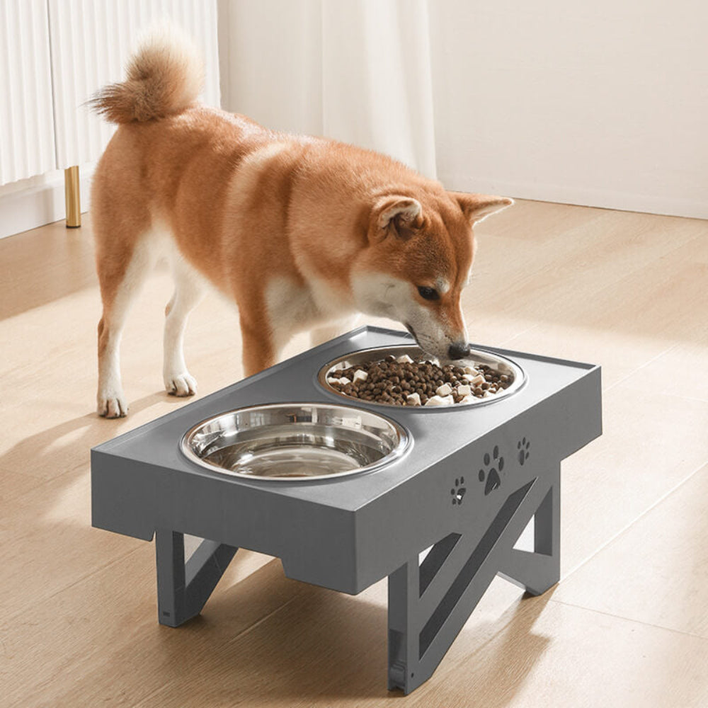 Ciotole Per Cani Rialzate Doppie Acciaio Inox Regolabili