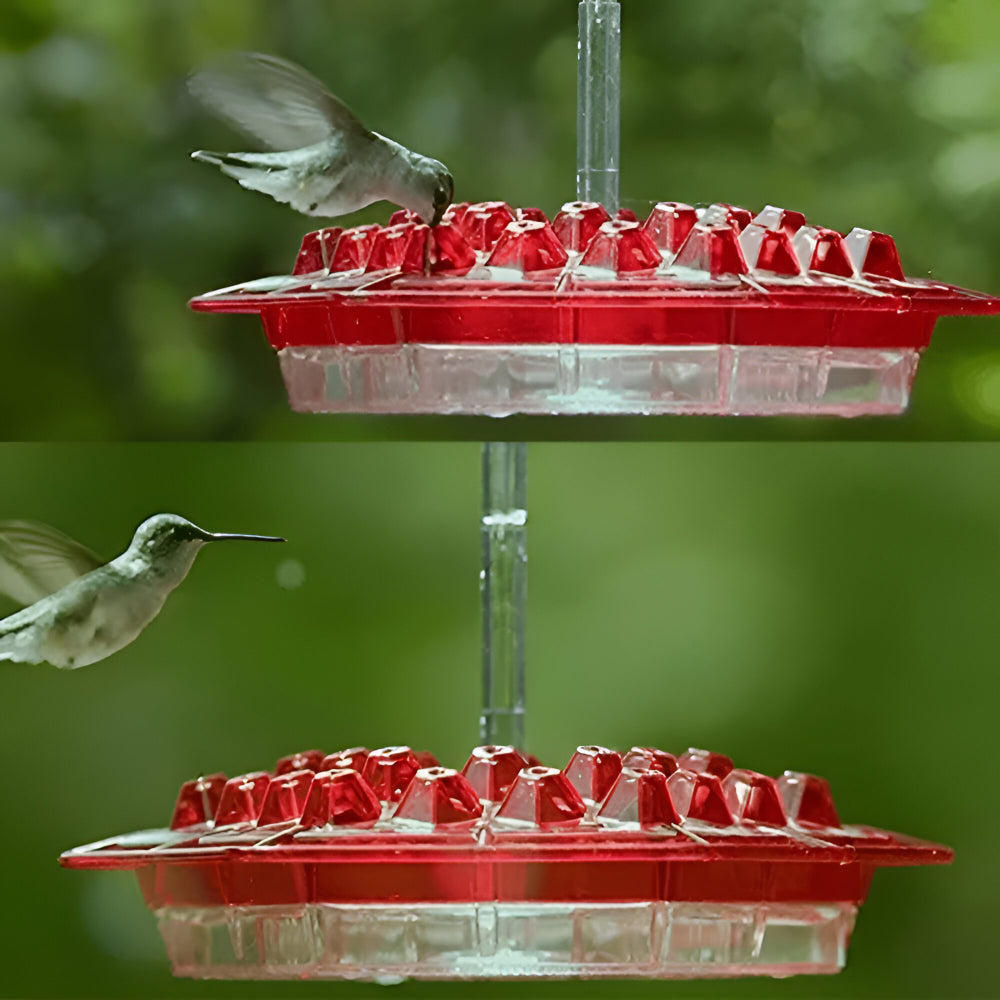 Mangiatoia Uccelli Giardino Appesa Nettare Colibrì Decorativa