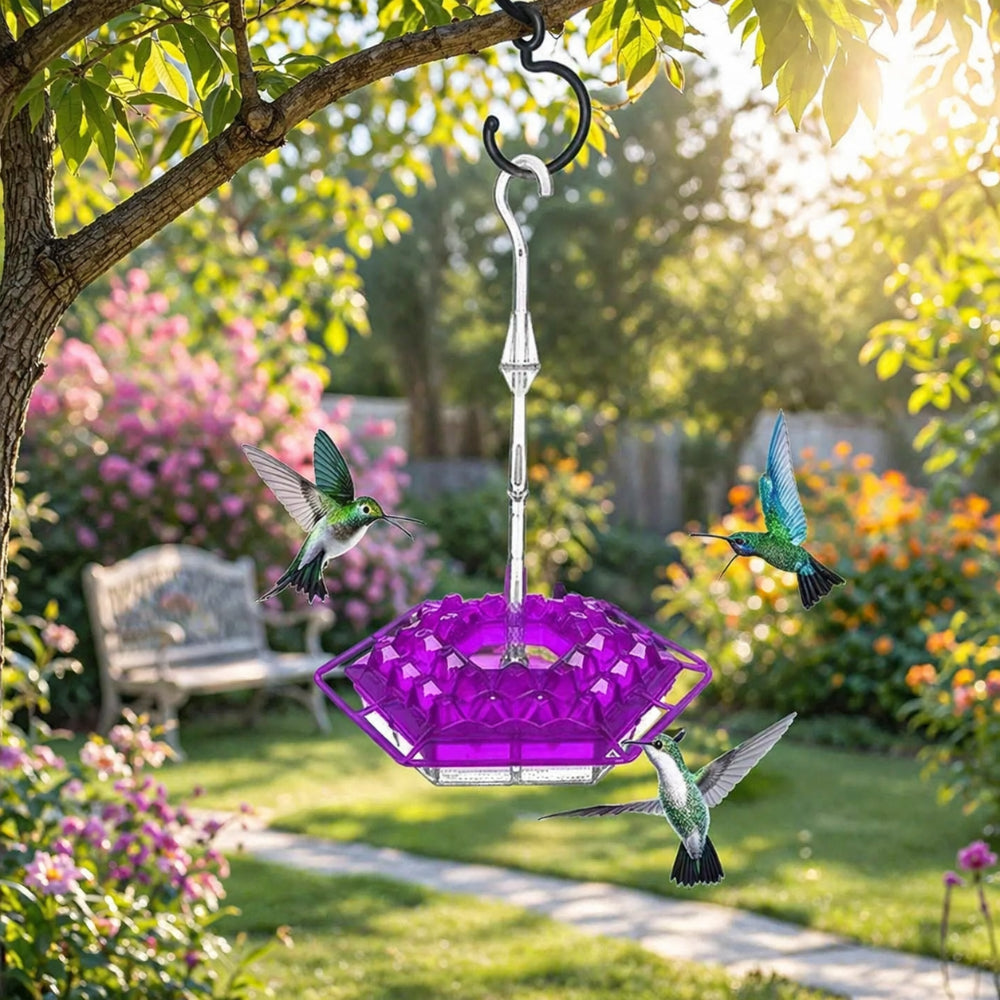Vogelvoeder Kolibrie Voederbak Hangend Tuin Voeder