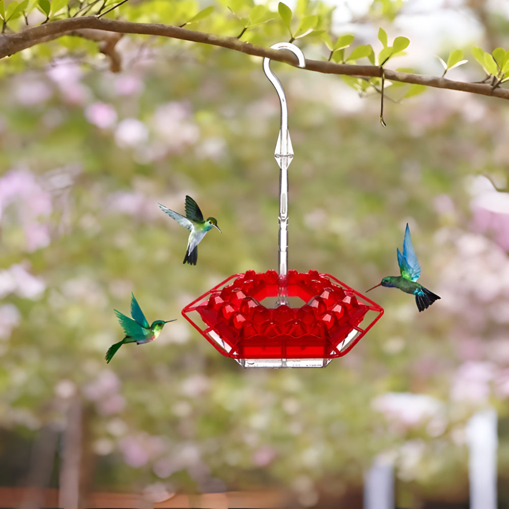 Mangiatoia Uccelli Giardino Appesa Nettare Colibrì Decorativa