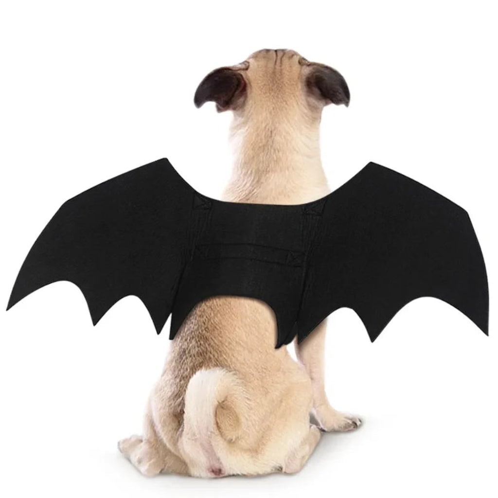 Accessori Halloween Costumi Animali Decorazioni Festive - Image 4