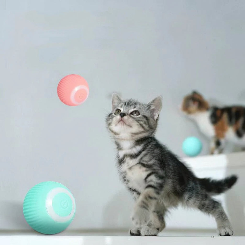 Slimme Kattenbal Actief Spel Natuurlijk Gedrag