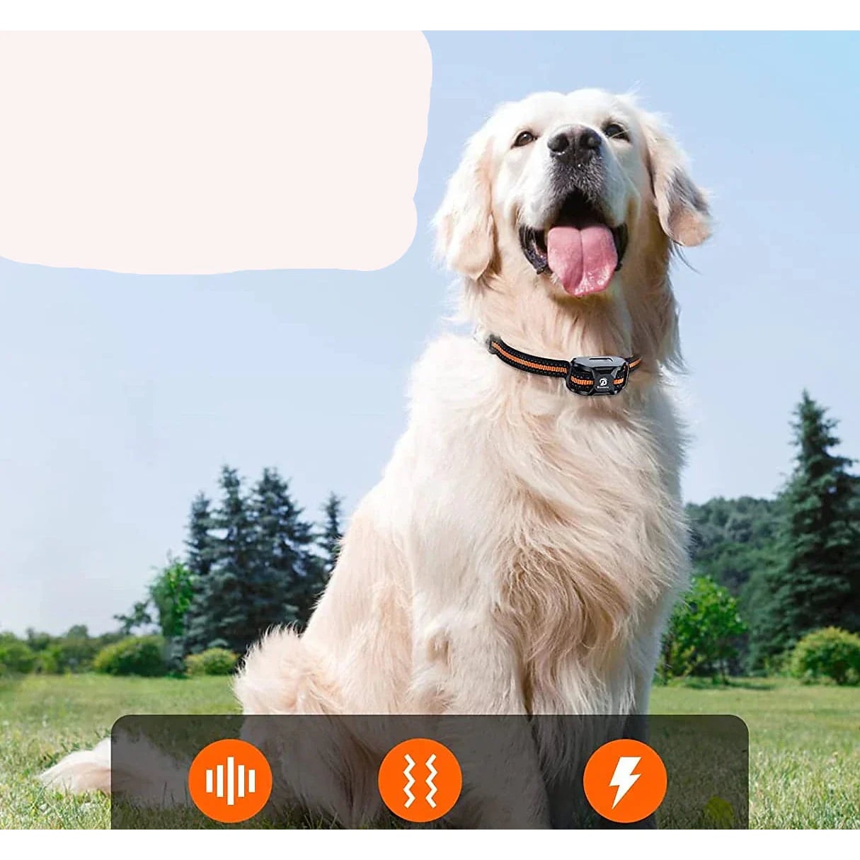 Collare Per Addestramento Cani Collare E-collar Men's E-Collar Addestramento - Image 5