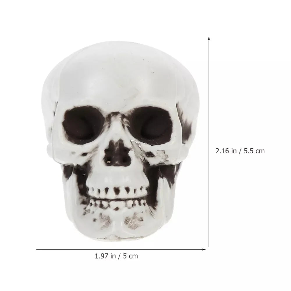Decorazioni Halloween Testa Scheletro Decorativa Set - Image 6