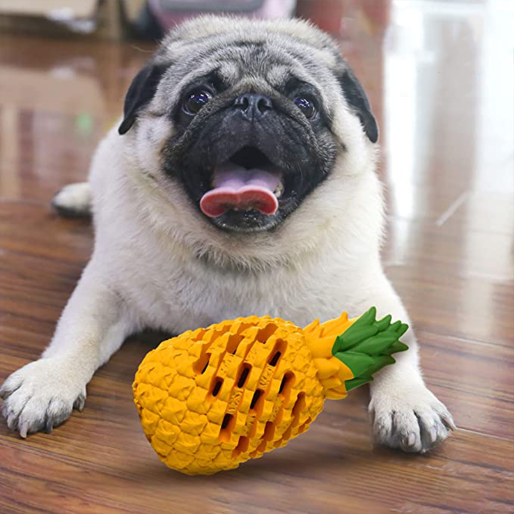 Giocattolo Cane Ananas Masticabile Interattivo - Image 2