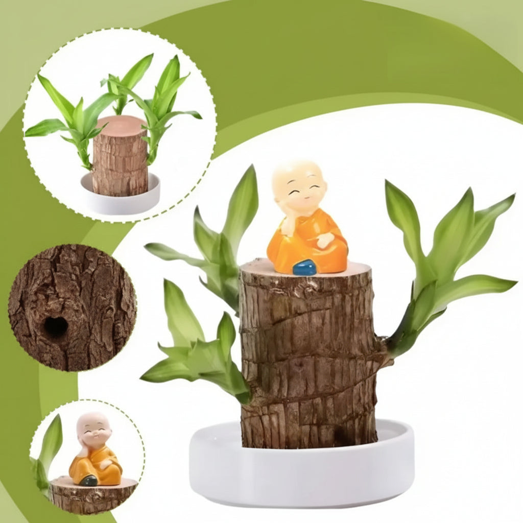 Wooden Plant Air Purifying Reduces Stress Low Maintenance