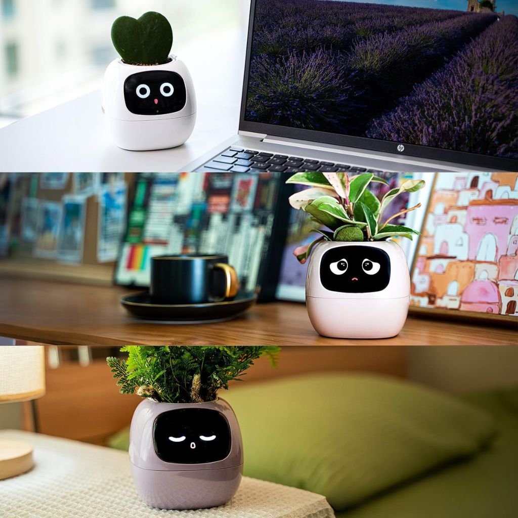 Vaso Delgado para Plantas Hera - Cuidado Inovador de Plantas