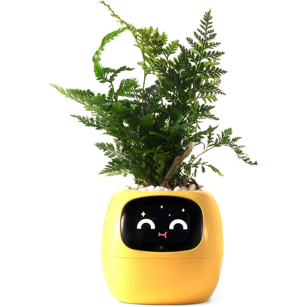Vaso Delgado para Plantas Hera - Cuidado Inovador de Plantas