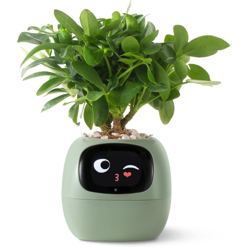 Vaso Delgado para Plantas Hera - Cuidado Inovador de Plantas