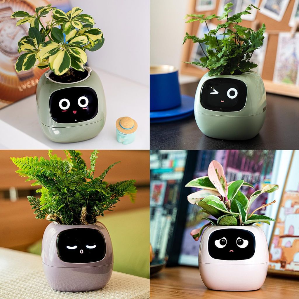 Vaso Delgado para Plantas Hera - Cuidado Inovador de Plantas