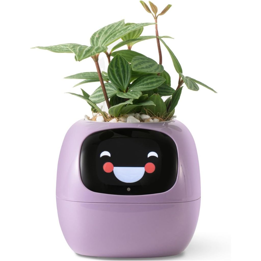 Vaso Delgado para Plantas Hera - Cuidado Inovador de Plantas