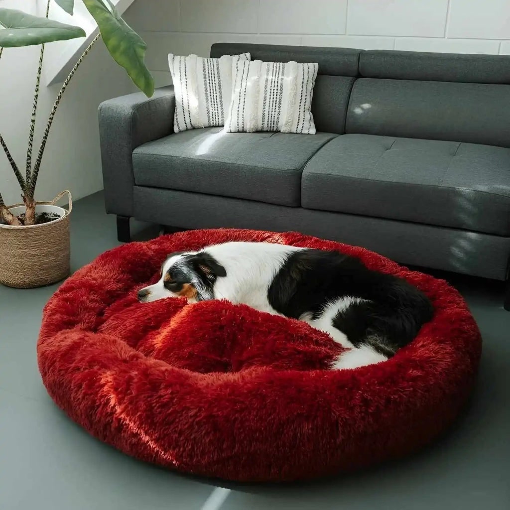 Rundes Hundebett Kuscheliges Plüschkissen - Image 6