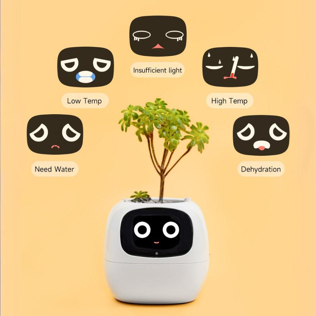 Vaso Delgado para Plantas Hera - Cuidado Inovador de Plantas
