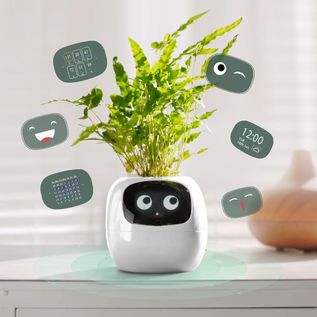 Vaso Delgado para Plantas Hera - Cuidado Inovador de Plantas