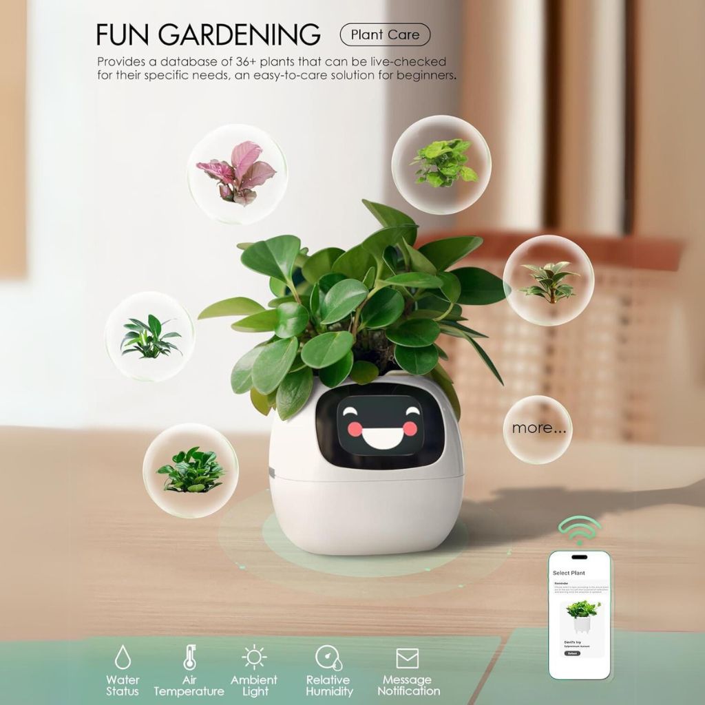 Vaso Delgado para Plantas Hera - Cuidado Inovador de Plantas