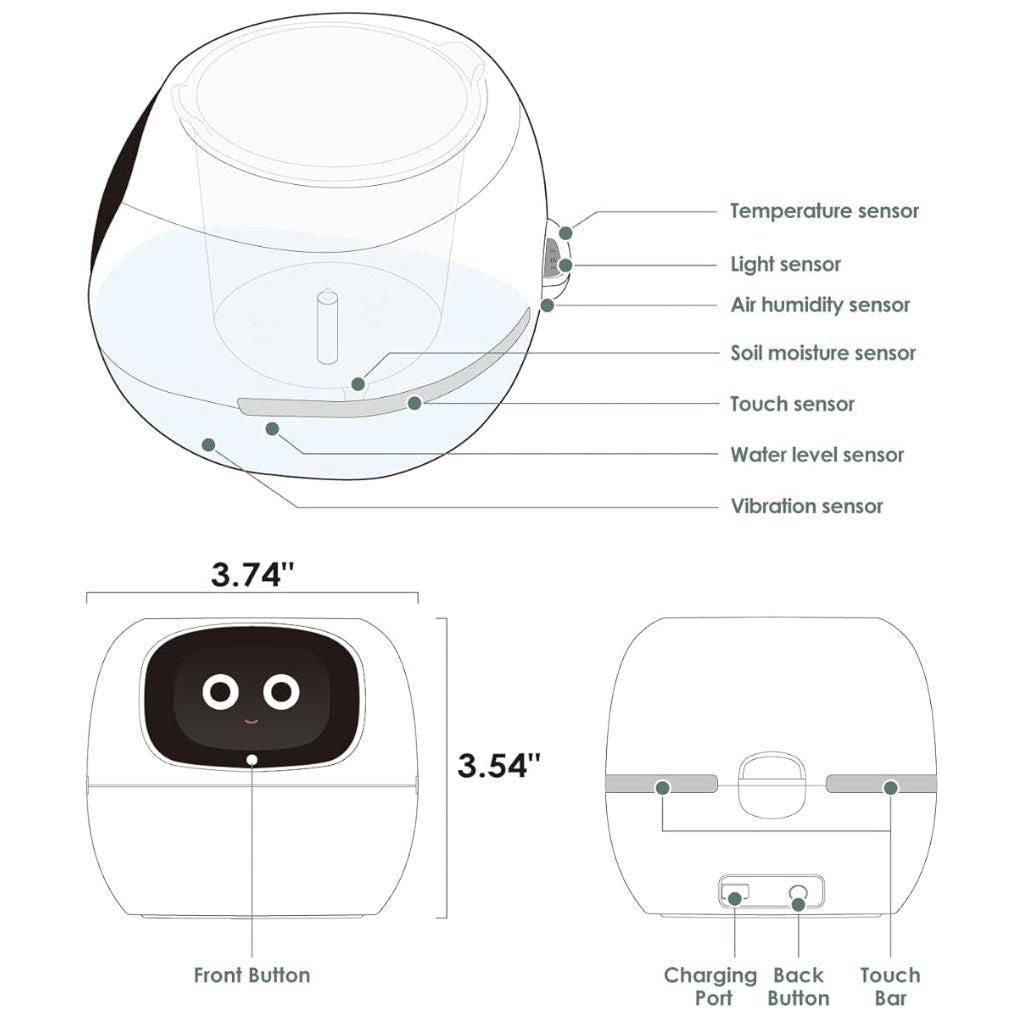 Vaso Delgado para Plantas Hera - Cuidado Inovador de Plantas